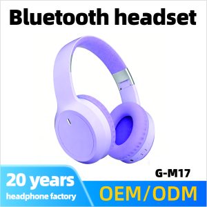 Wholesale Customizable Bluetooth Headphones OEM