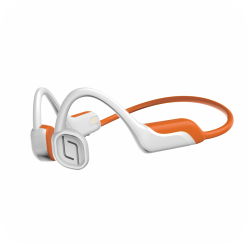 Bone Conduction