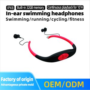 yayagg Custom Earphone Factory (China) (1)