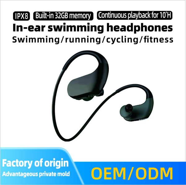 yayagg Custom Earphone Factory (China) (109)